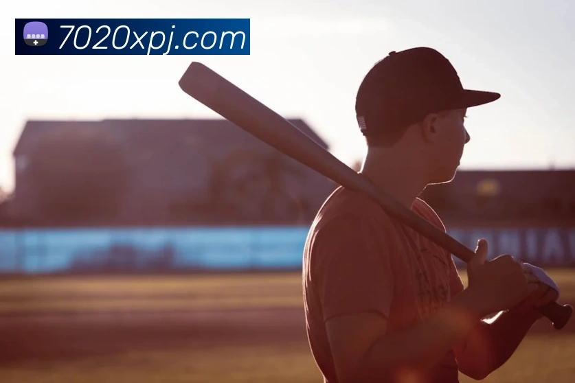 新葡京娱乐城官网发展历程